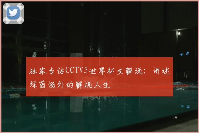 独家专访CCTV5世界杯女解说:讲述绿茵场外的解说人生